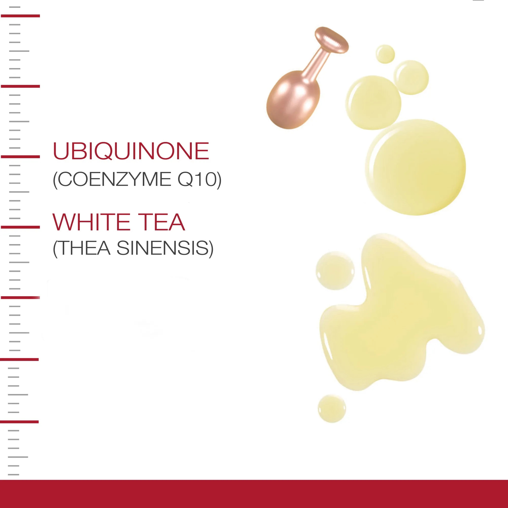 Dermastir Twister Coenzyme Q10