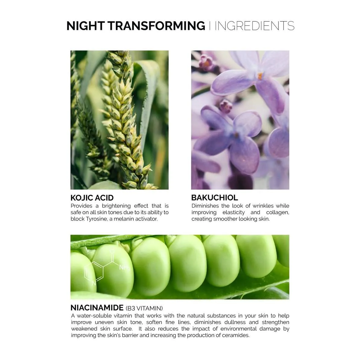 Fitglow Beauty Night Essence